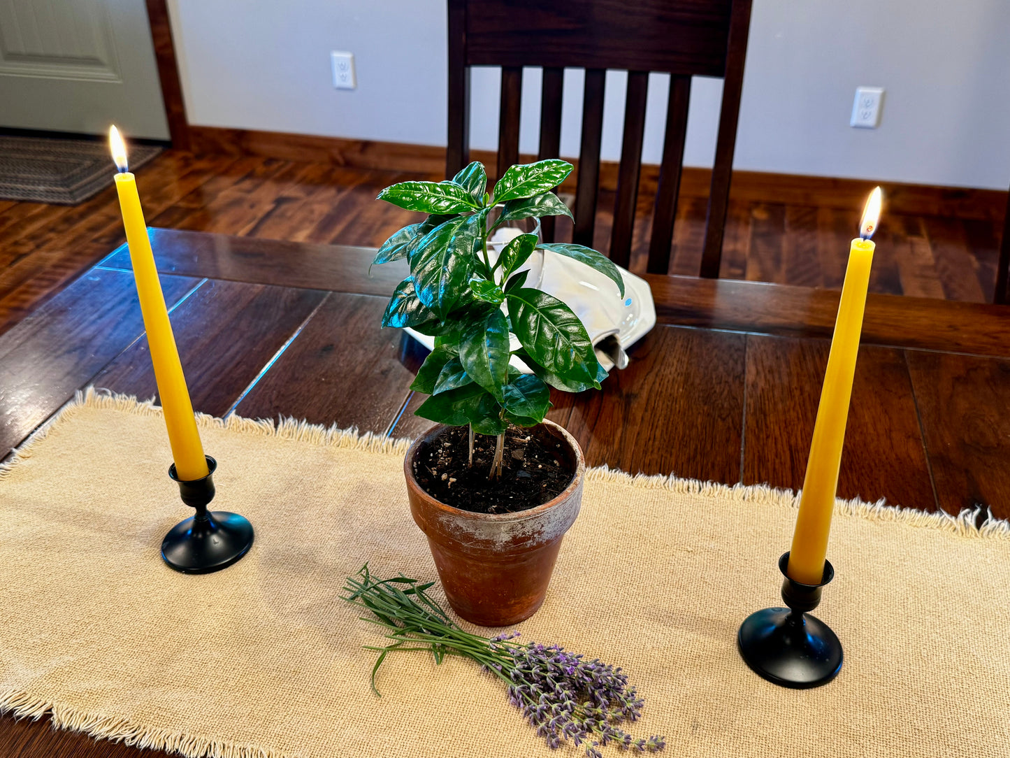 Beeswax Taper Candles-2 count