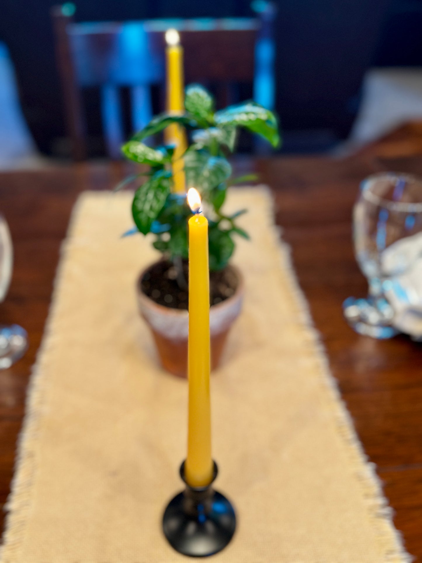 Beeswax Taper Candles-2 count