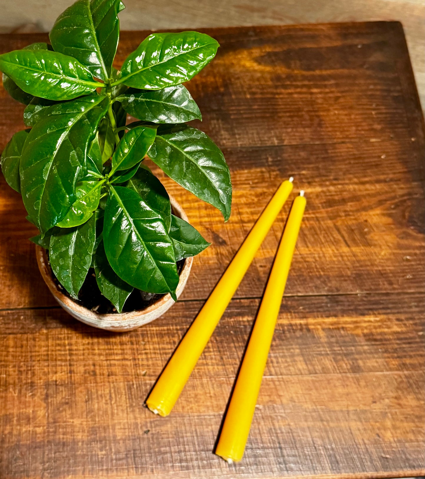 Beeswax Taper Candles-2 count