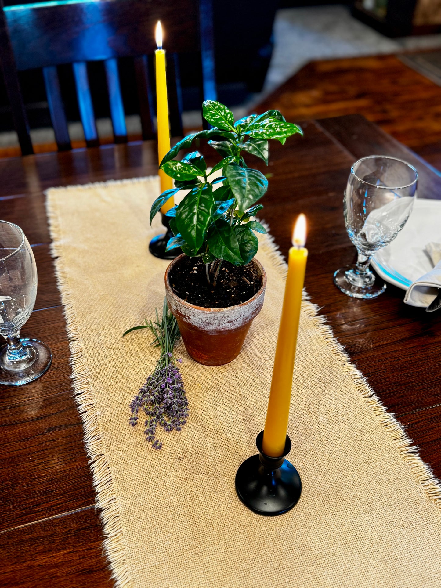 Beeswax Taper Candles-2 count