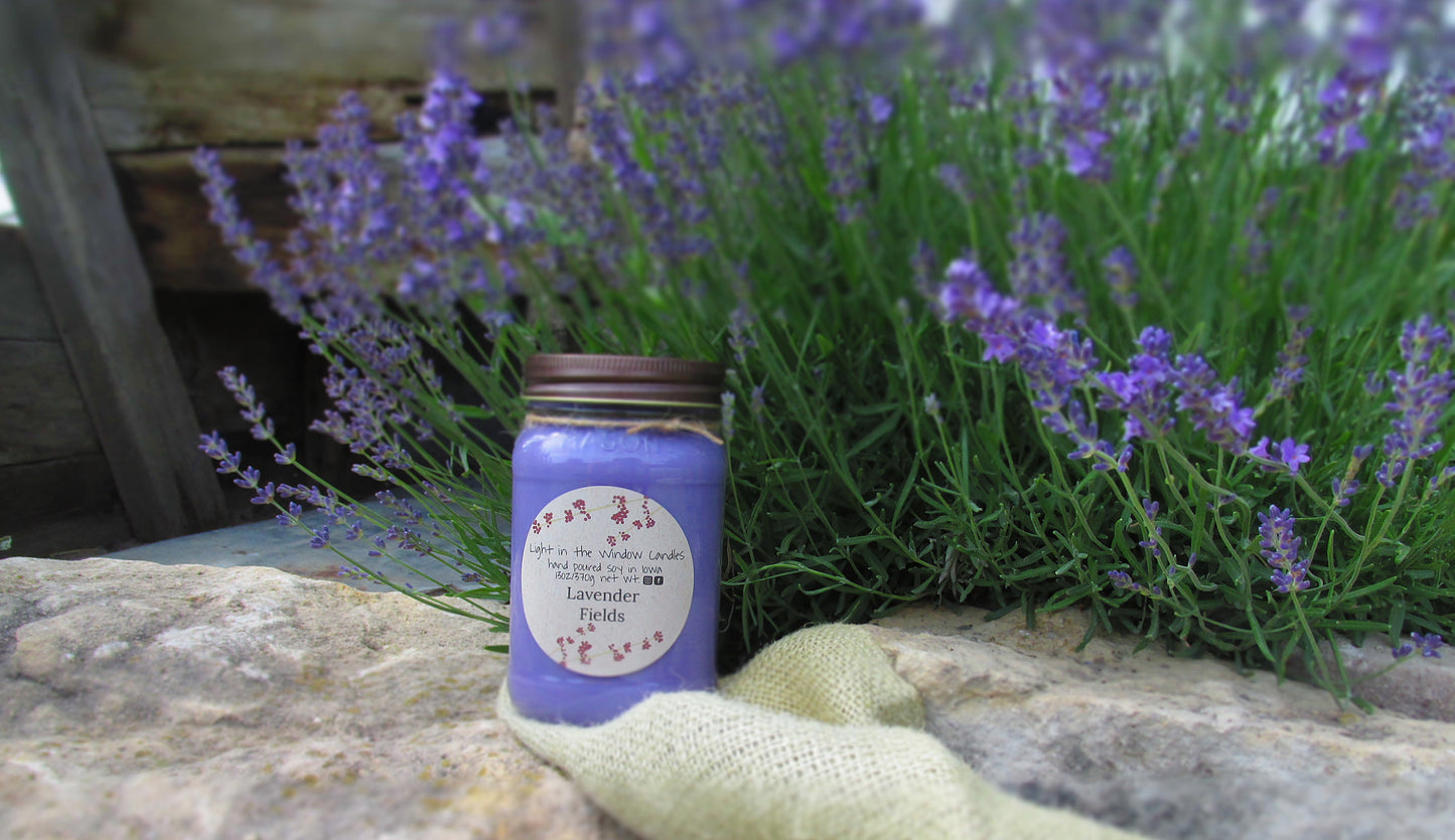 Lavender Fields 16oz Candle